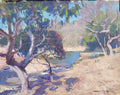 Pintura a óleo original "Trecho do Ribeirão quebra Anzol", 20x25cm, óleo sobre tela, *SEM MOLDURA*
